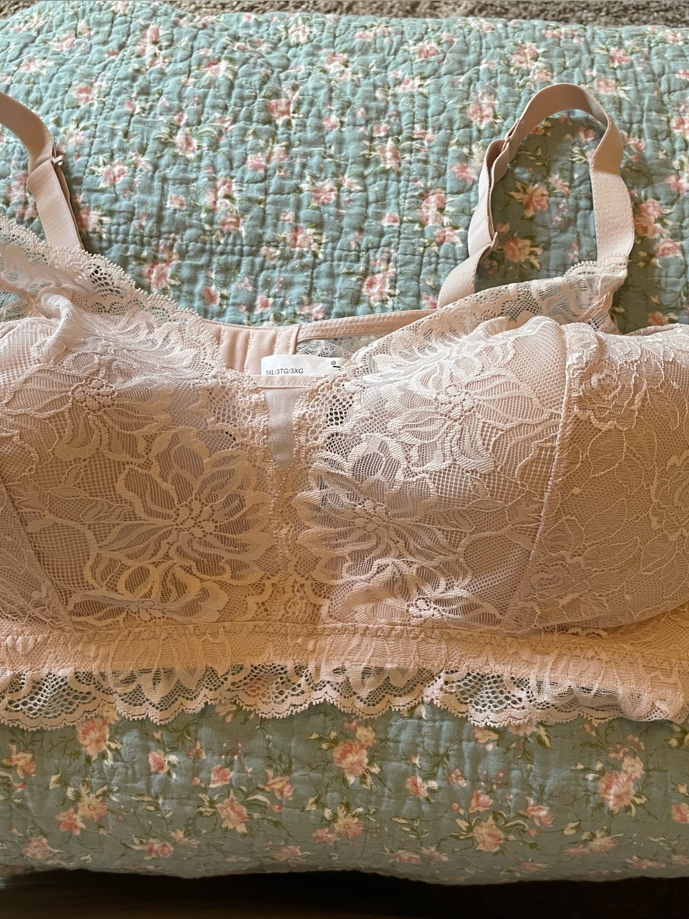Delicate Lace Bralette in Blush - Women Intimates